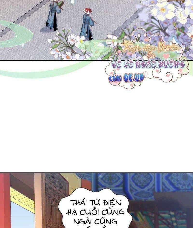 quận chúa vững vàng, thiết lập nhân vật không thể vỡ chapter 20 14