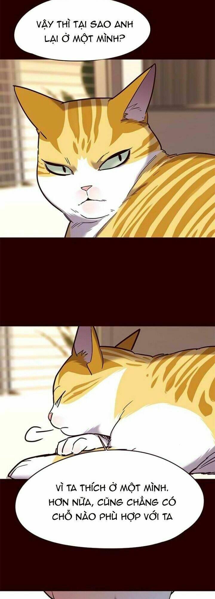 biến thân thành mèo chapter 96 14