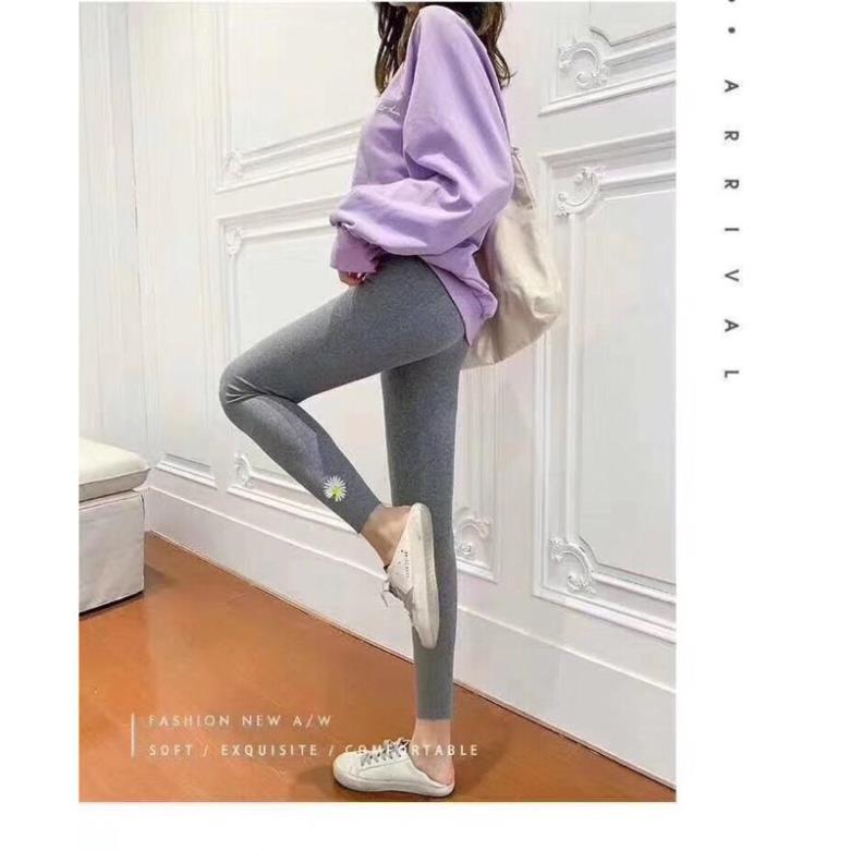 Quần Legging Tăm Hoa Cúc Mẫu Mới