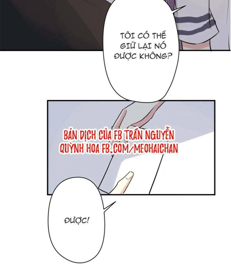 quy tắc mỹ nam chapter 5 35