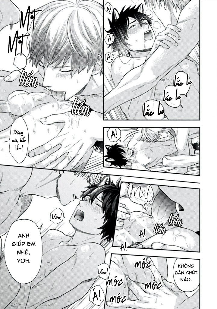 mật ngọt dã thú chapter 4 12