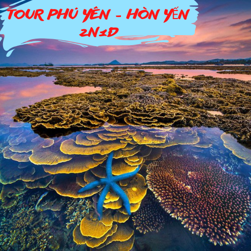 Tour Phú Yên 2 Ngày 1 Đêm: Gành Đá Đĩa - Hòn Yến - Cao Nguyên Vân Hòa