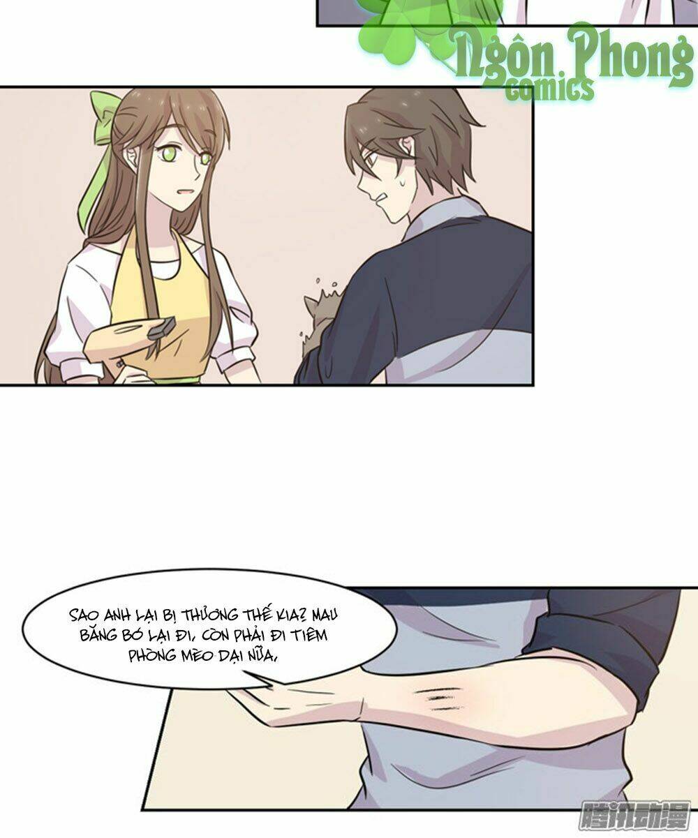 hai chú mèo totem chapter 18 15