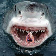 just troll chapter 31 31