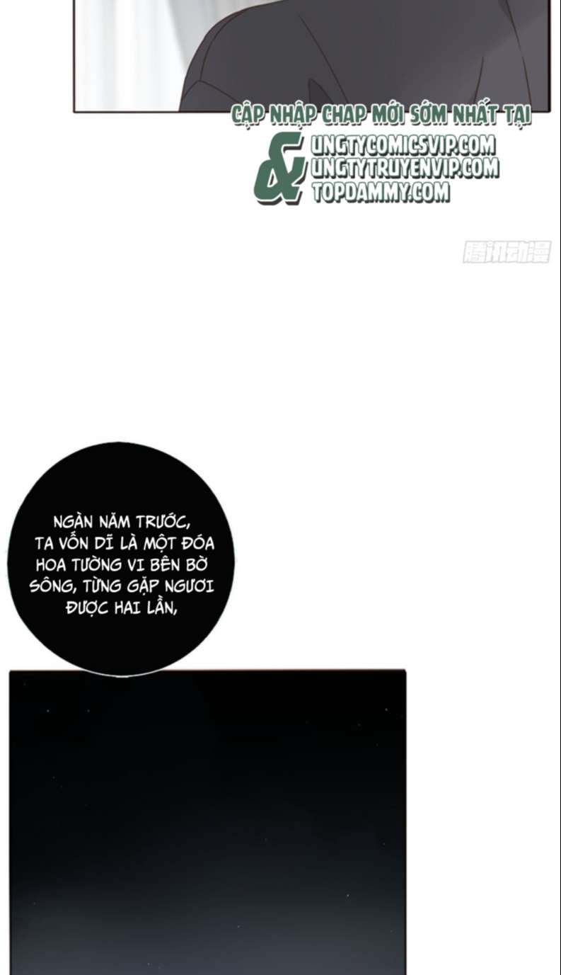 ôm chặt vào lòng chapter 74 17