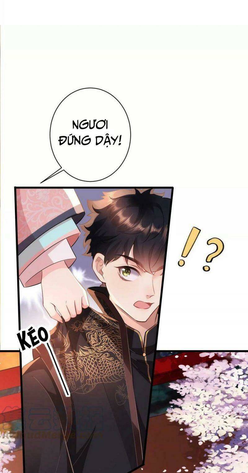 quận chúa vững vàng, thiết lập nhân vật không thể vỡ chapter 78 12