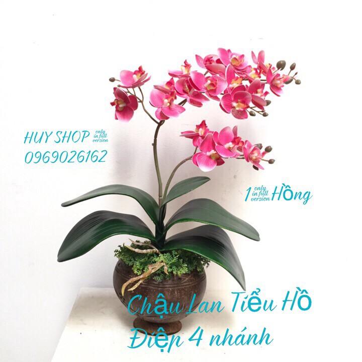 HOA LAN NHÂN TẠO - CHẬU GÁO DỪA HOA LAN TIỂU HỒ ĐIỆP 4 NHÁNH