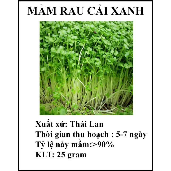 20 gram Hạt giống rau mầm cải xanh