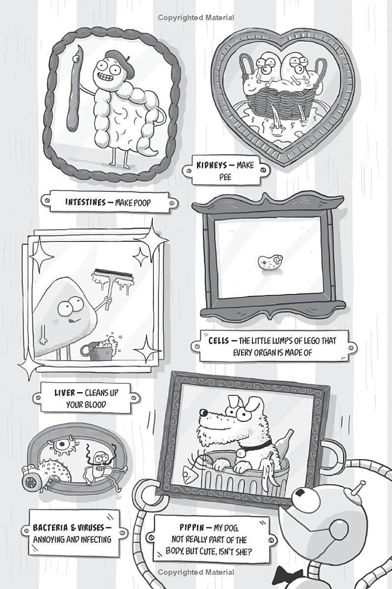 Sách ngoại văn: Kay's Anatomy