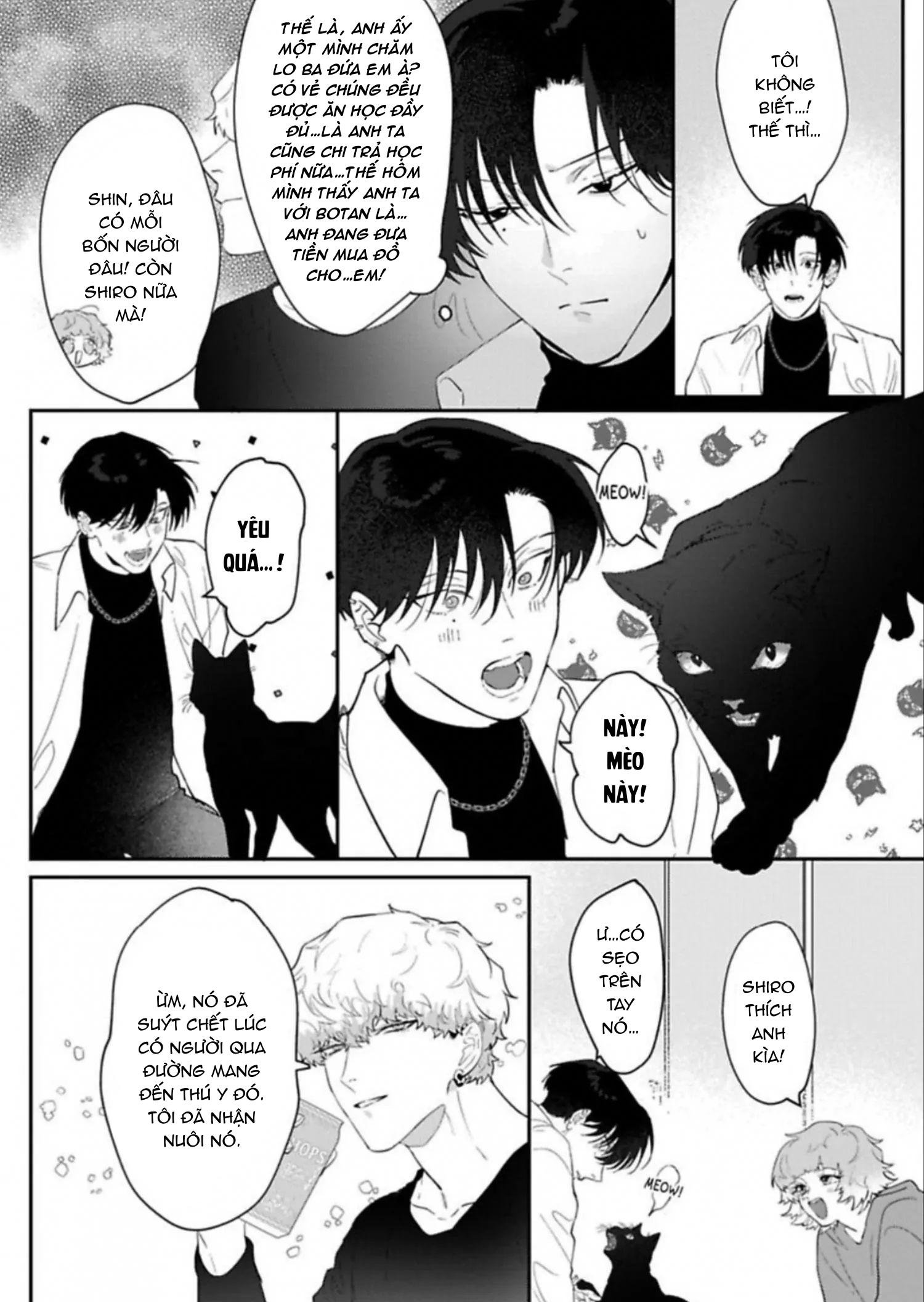 kabukicho cat honey chapter 3 14