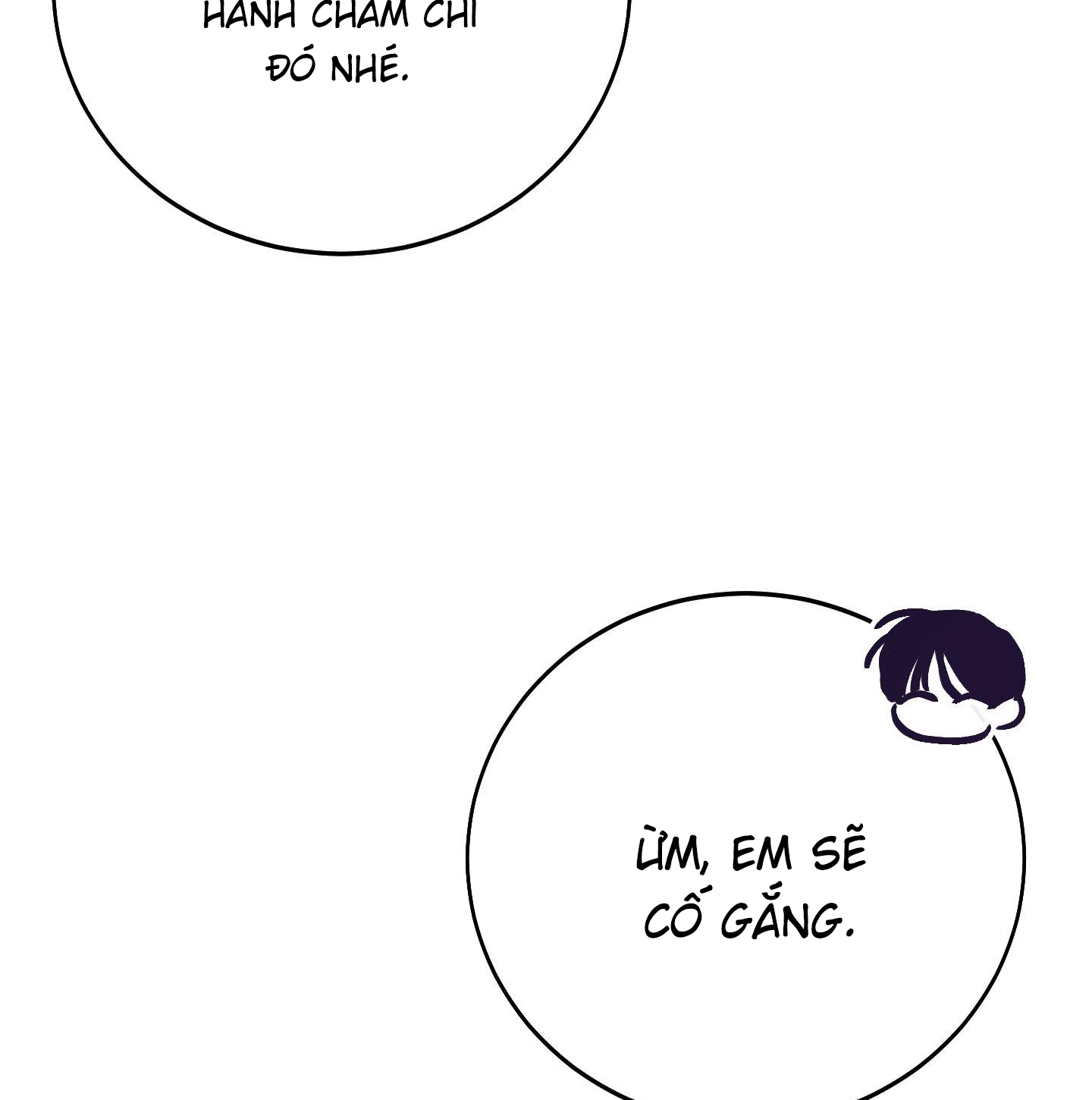 lãng mạn giả dối chapter 28 95