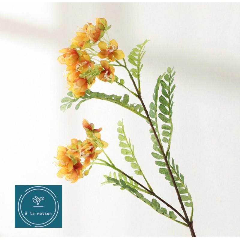 Cành hoa Chi vang cao 78cm nhiều nhánh hoa và lá đẹp tự nhiên