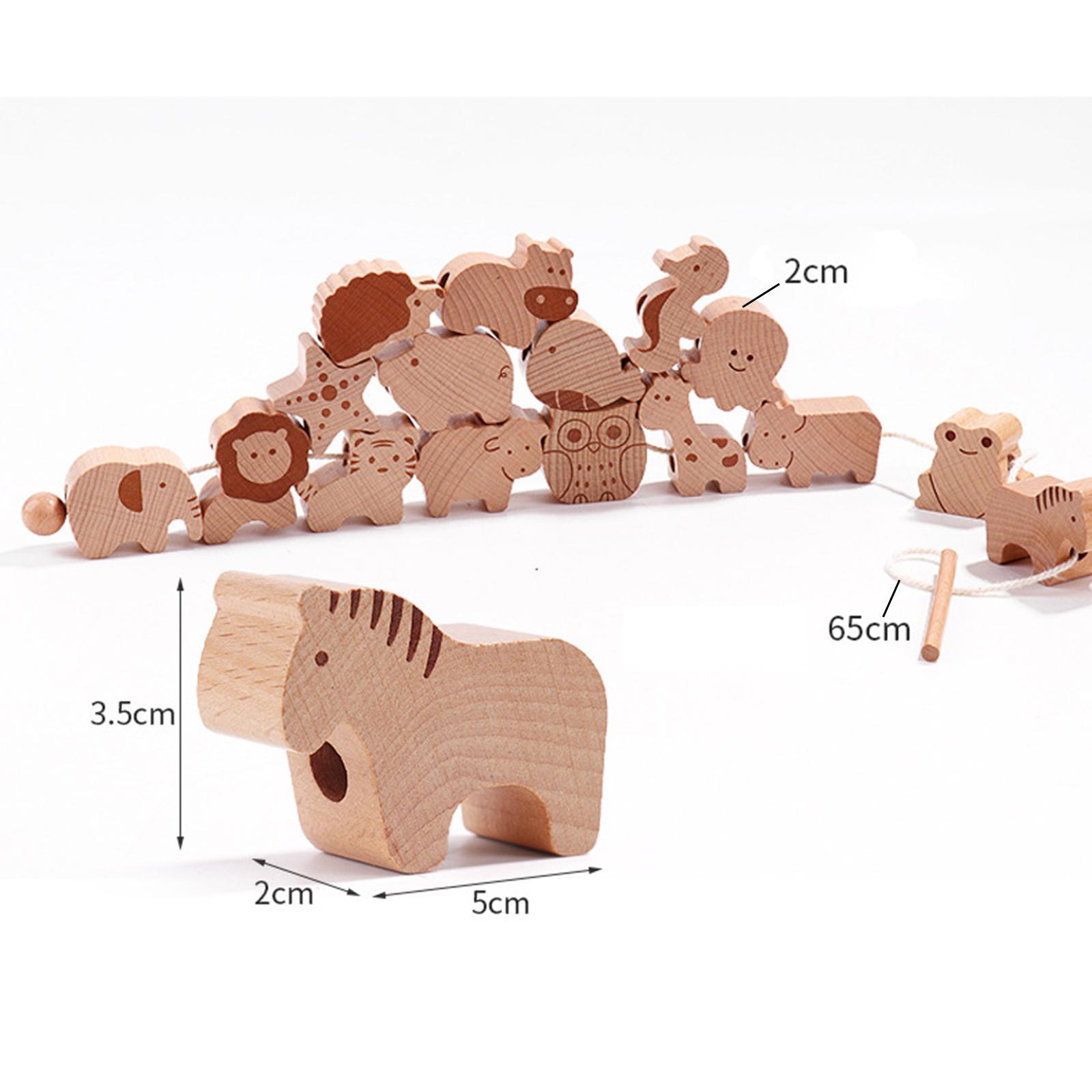 16x Animal Blocks Threading Toy Hand Eye Coordination for Children Toddlers