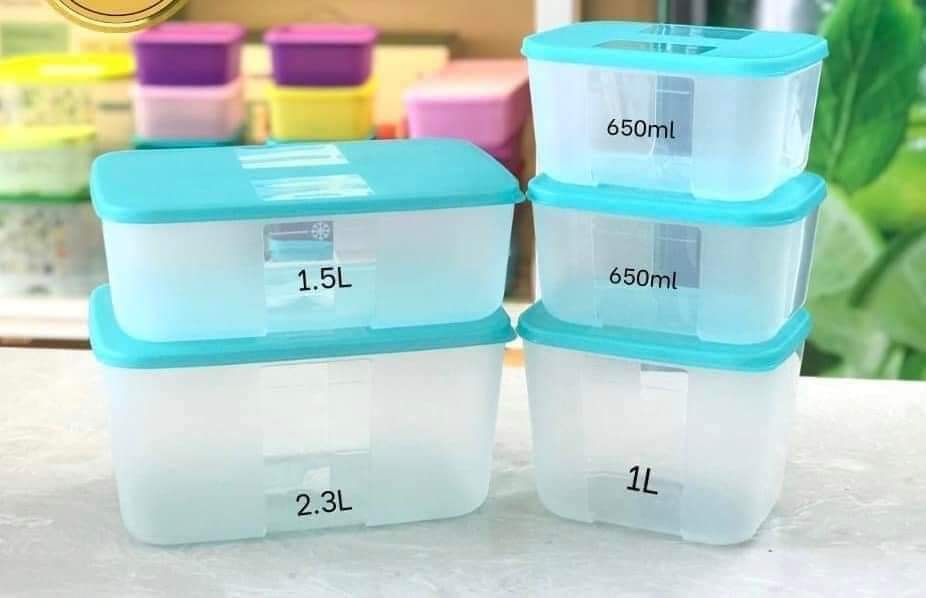 Bộ Trữ Đông Tupperware Freezermate Paradise Set 5