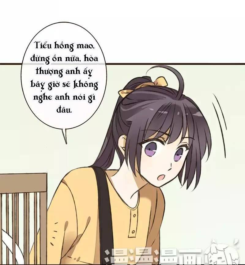 trên trời rớt xuống một hòa thượng ngốc chapter 38 37