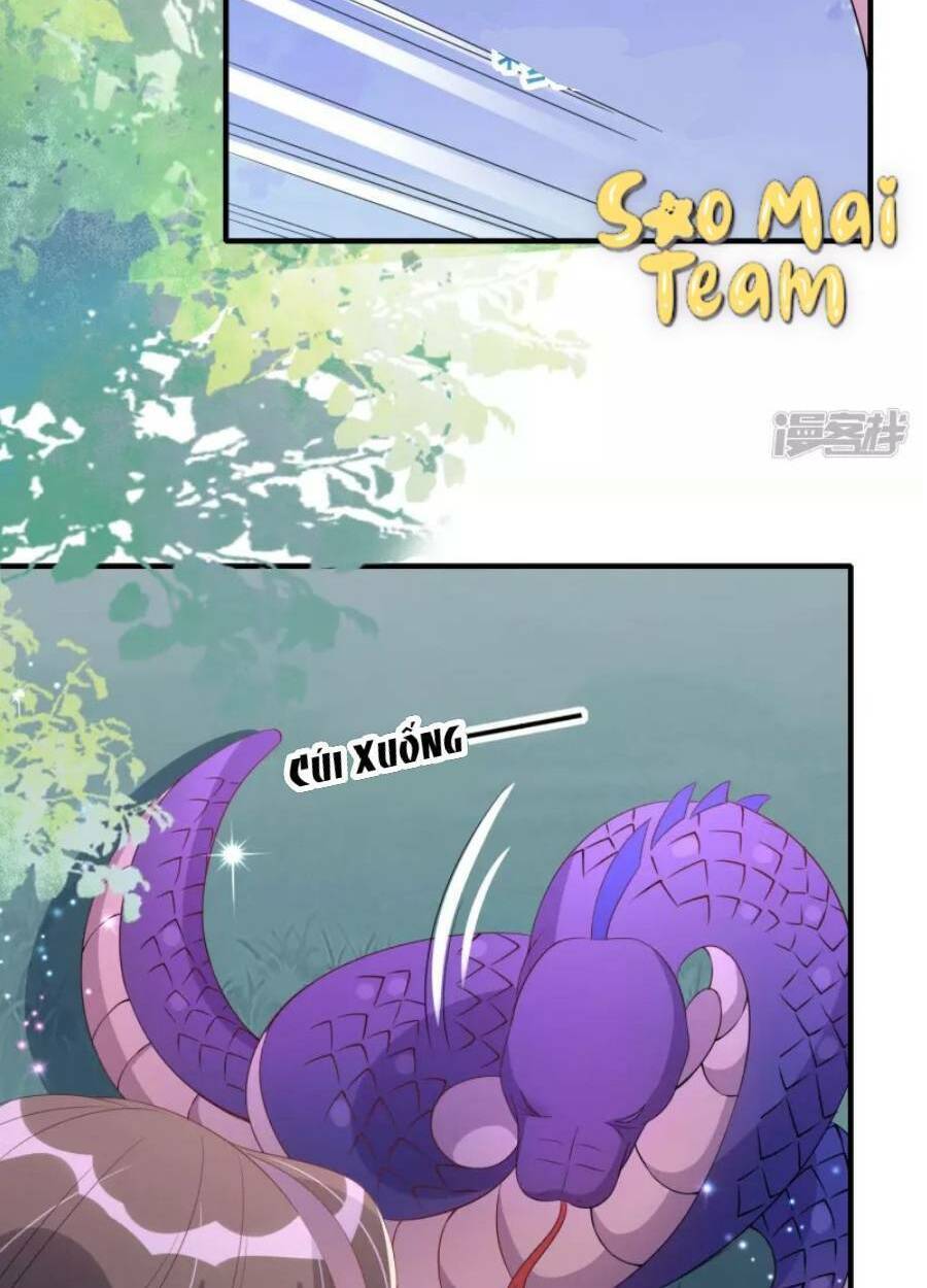 long vương truy thê chapter 6 56