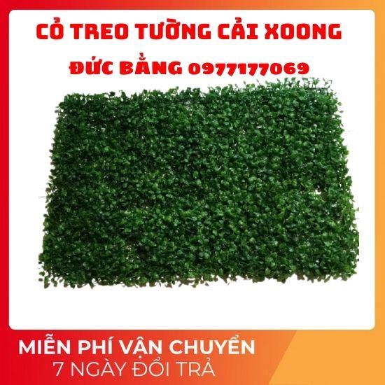 Cỏ nhân tạo treo tường cải xoong ,cỏ trang trí mắt châu rộng 40 x dài 60 tấm