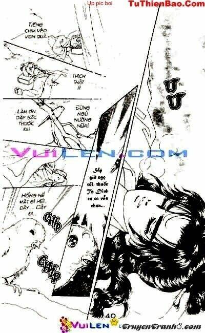 đóa hoa yêu kiều chapter 1 41