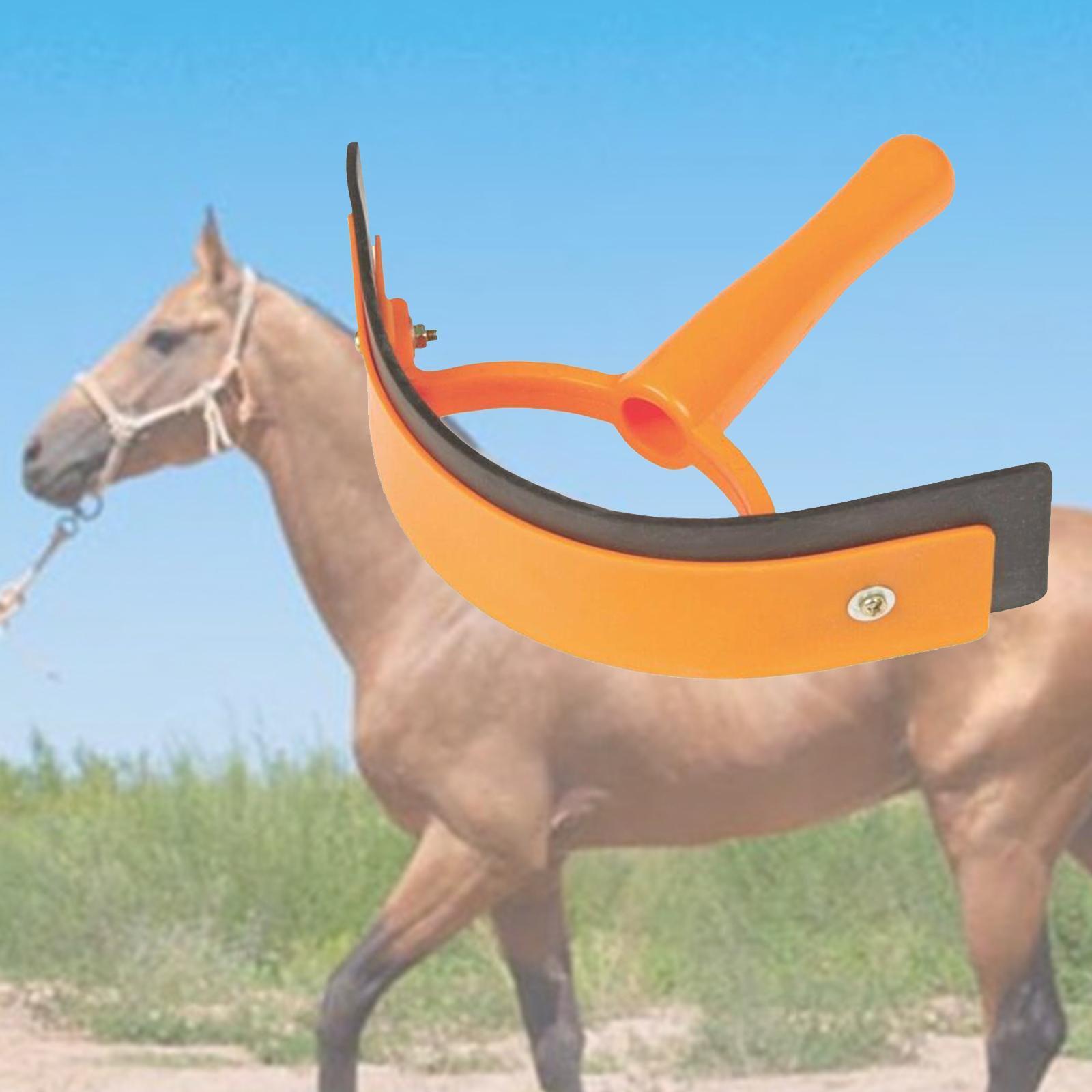 Animal Equine Sweat Scraper Durable Horse Cleaning Brush