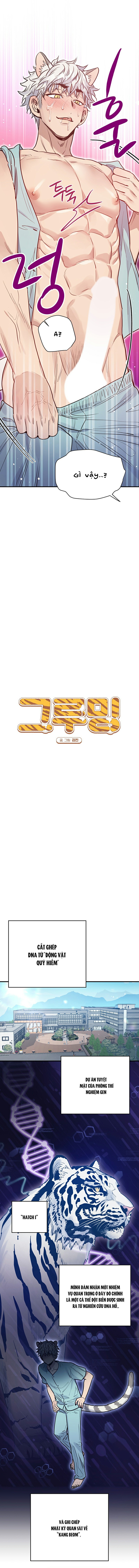 anh à! em đã lớn rồi! chapter 1 5