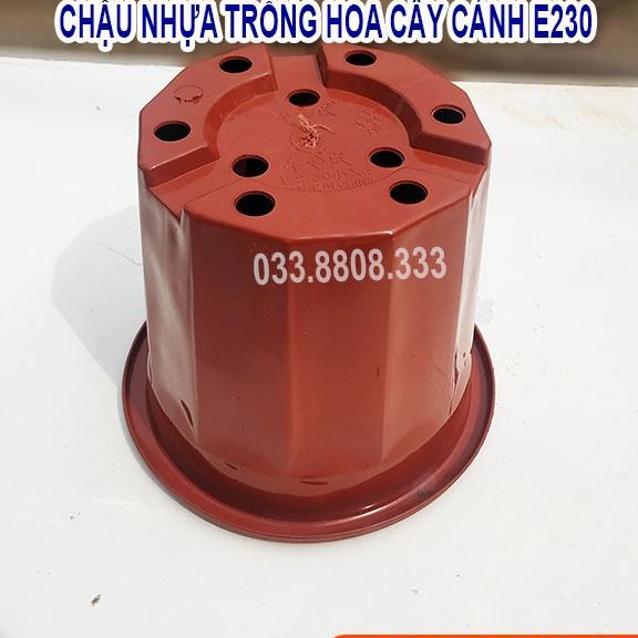 10 Chậu Nhựa Nâu Trồng Cây E230 - Chậu Bền Đẹp