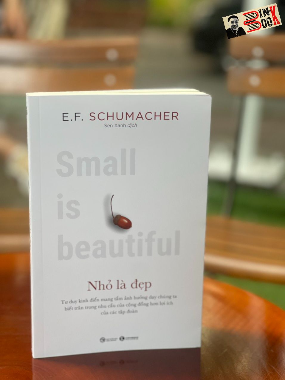 NHỎ LÀ ĐẸP - E. F. Schumacher – Sen Xanh dịch – Thái Hà books – NXB Công Thương