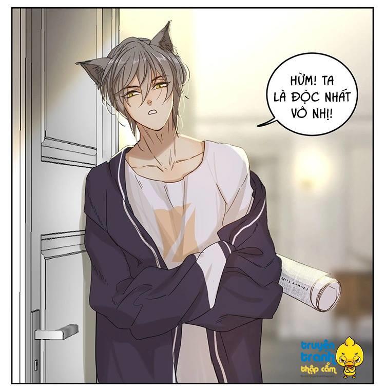 cứu mạng ! loài mèo thống trị thế giới rồi ! chapter 20 28