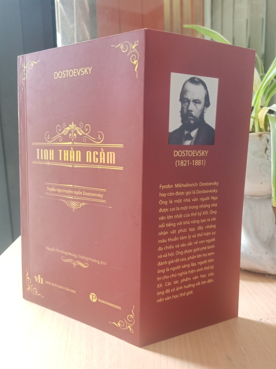 TINH THẦN NGẦM - Fyodor Mikhailovich Dostoevsky -  Nguyễn Thị Hồng Nhung, Trường Phương dịch - (bìa mềm)