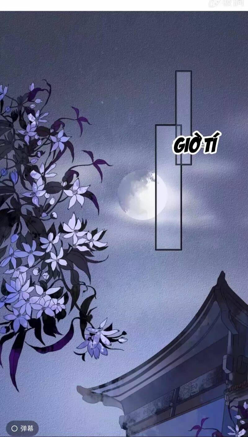 sủng phi của vương chapter 131 13