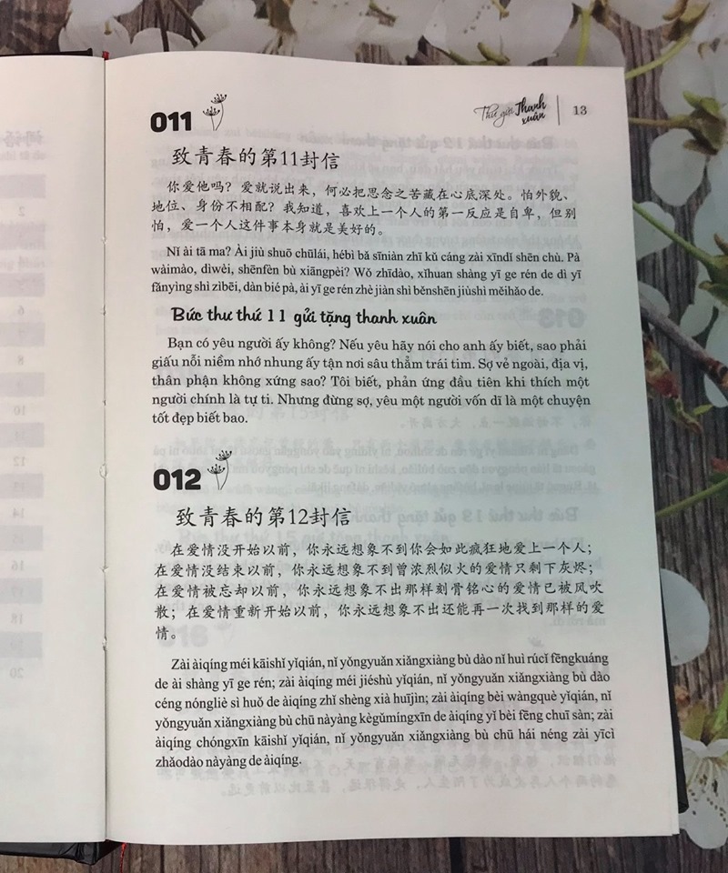 Combo 2 sách Phân tích đáp án các bài luyện dịch Tiếng Trung và gởi tôi thời thanh xuân song ngữ Trung việt có phiên âm có mp3 nghe+ DVD tài liệu
