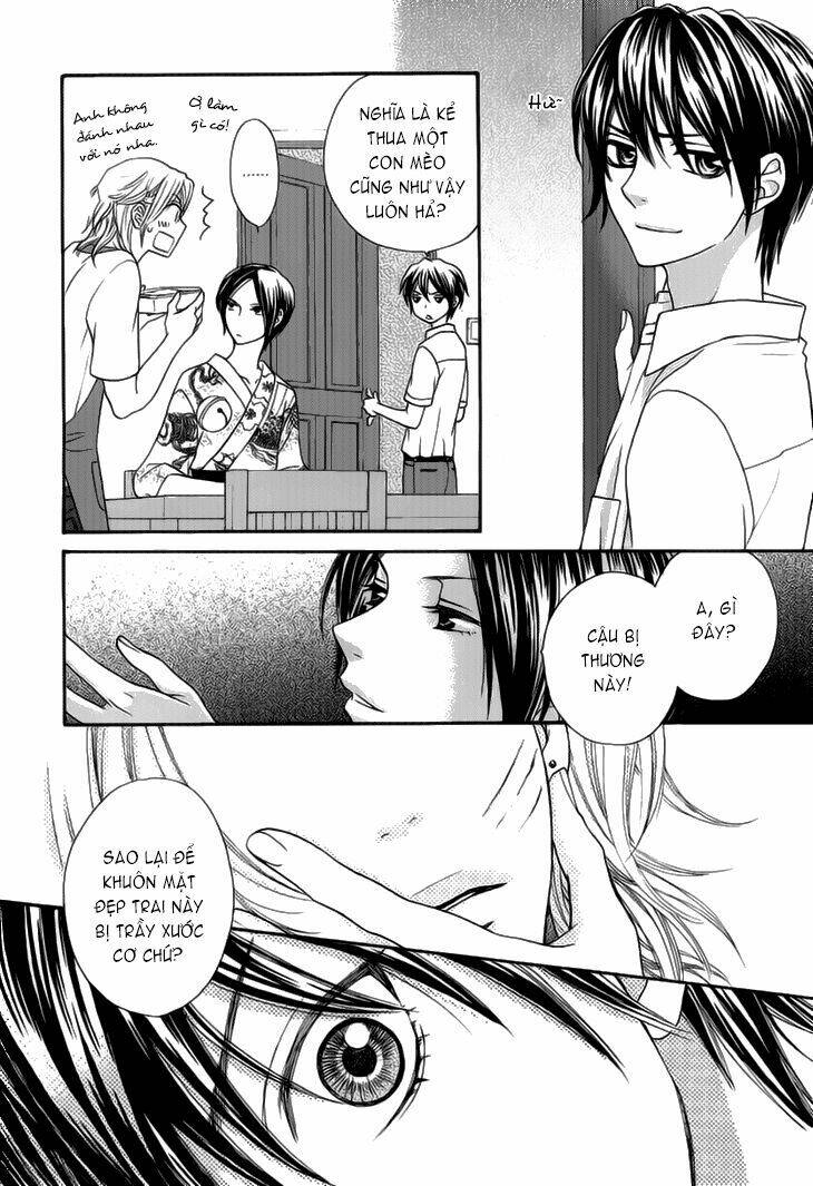 nekoka danshi no shitsukekata chapter 2 13