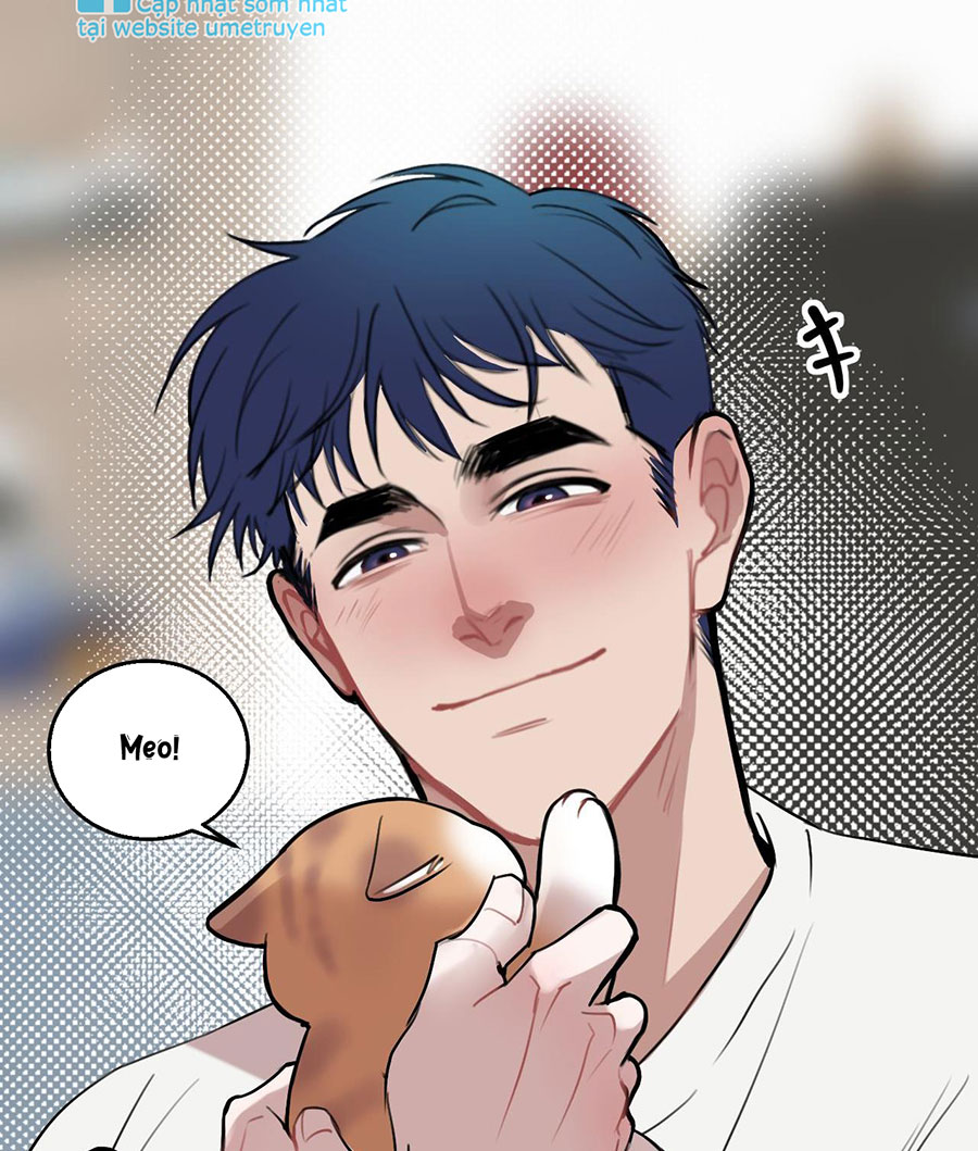rốt cuộc bé mèo đang nghĩ gì ? chapter 12 4