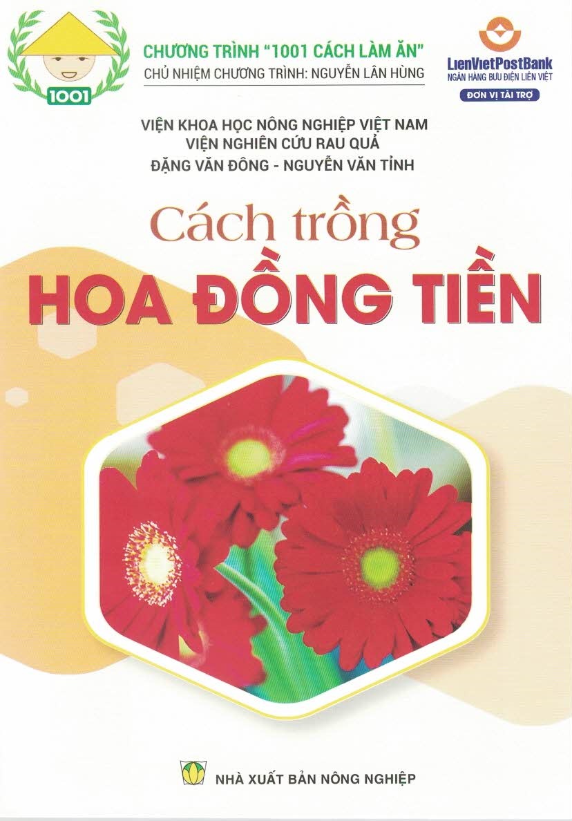 Cách Trồng HOA ĐỒNG TIỀN