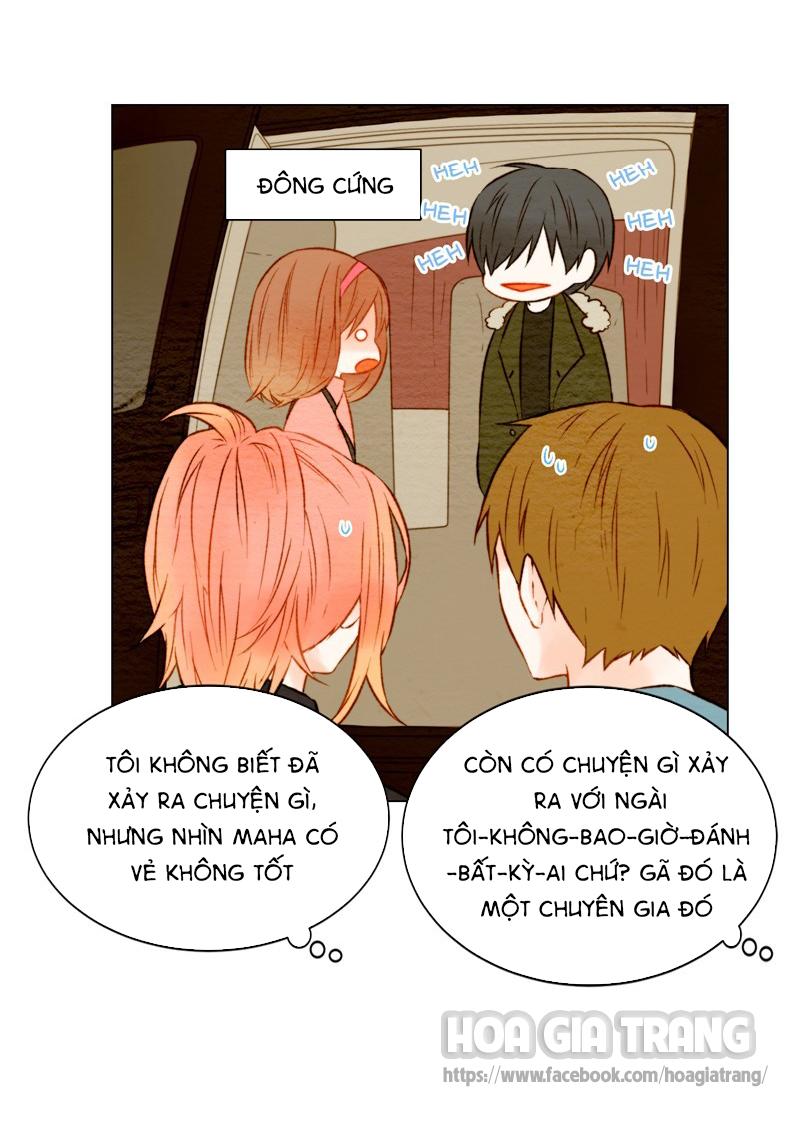 sao chép chapter 19 20