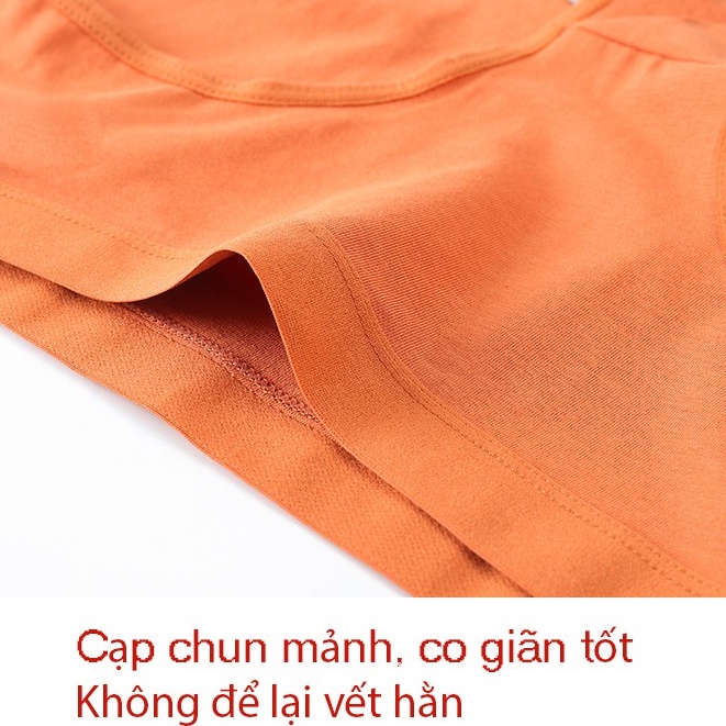 Combo 5 Quần lót nữ kháng khuẩn cotton co giãn tốt form đẹp Lylylorem QLA06 - Giao màu ngẫu nhiên