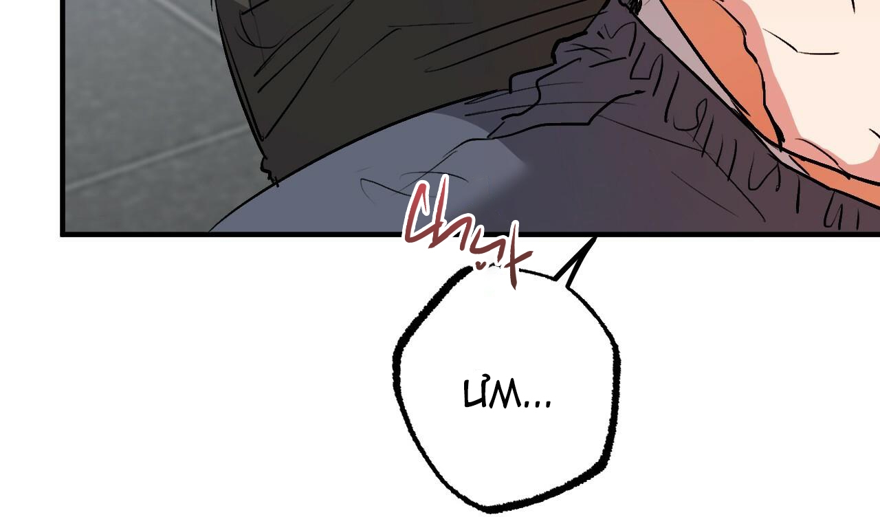 đàn thỏ của habibi chapter 43 13