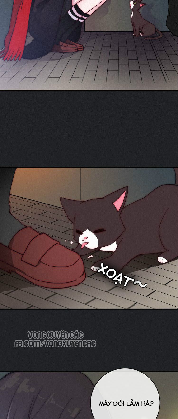 hắc dạ hữu sở tư chapter 1 31