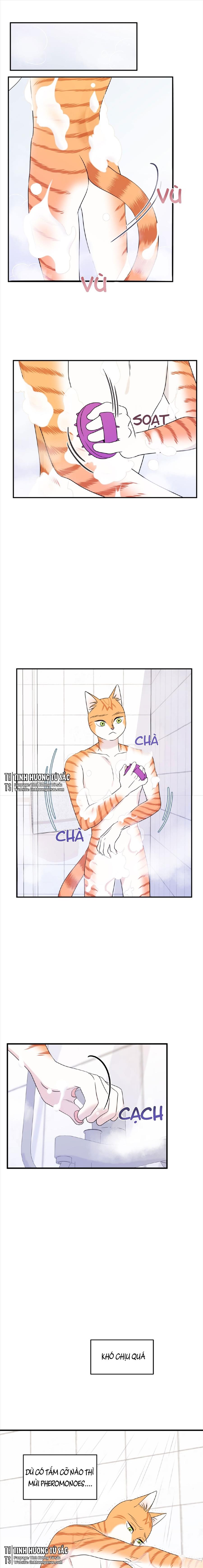 dự án xanh chapter 16 8