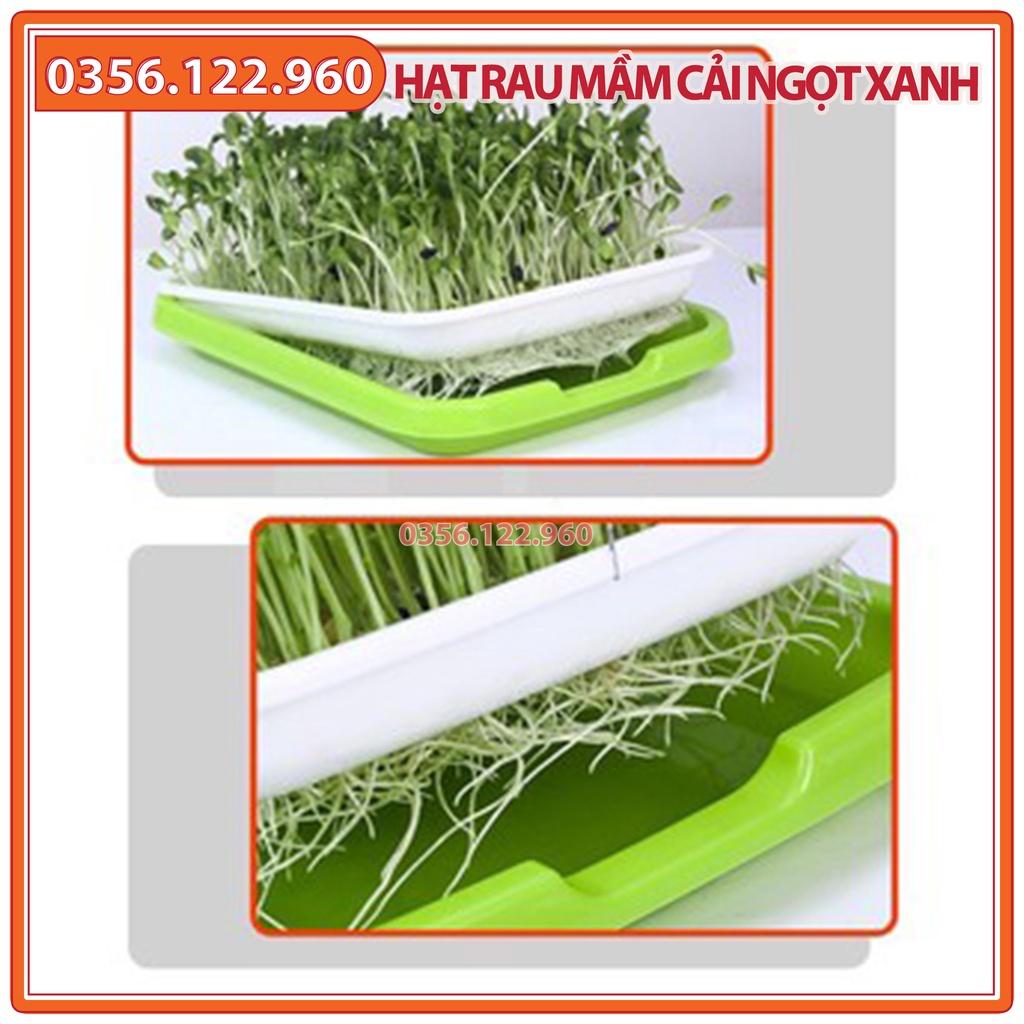 Hạt rau mầm rau cải ngọt xanh - gói 50g - hạt tuyển chọn chất lượng cao