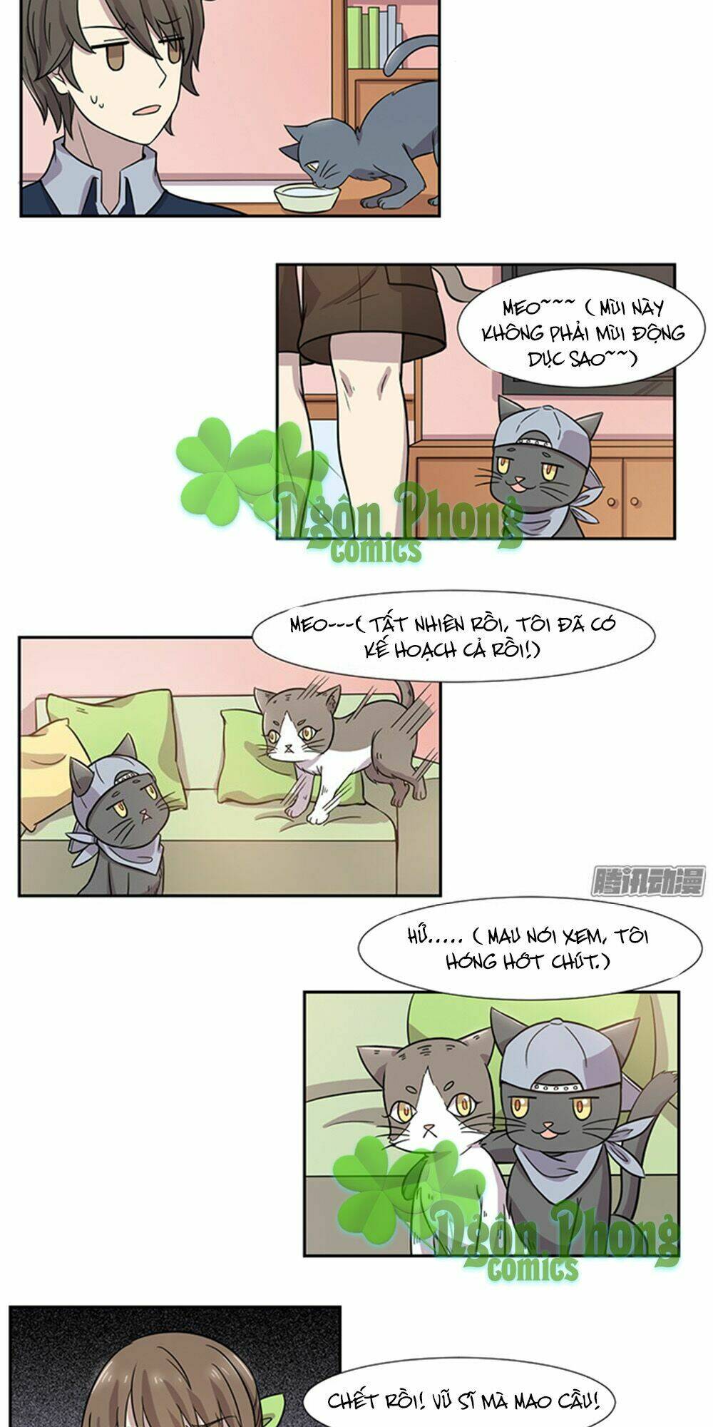 hai chú mèo totem chapter 29 8