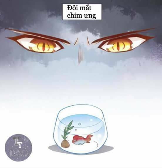 dưới móng vuốt mèo chapter 2 3