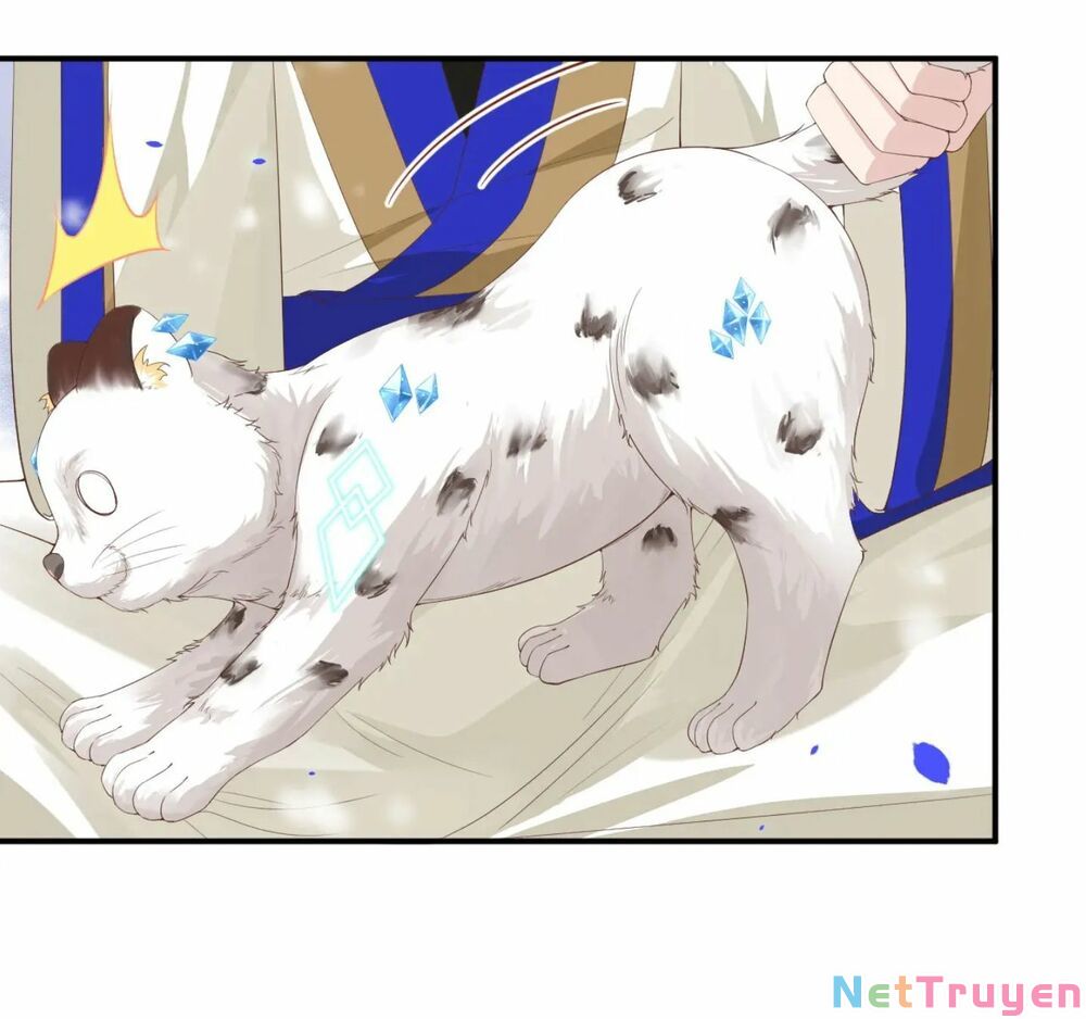 chàng vú em tu chân chapter 75 11