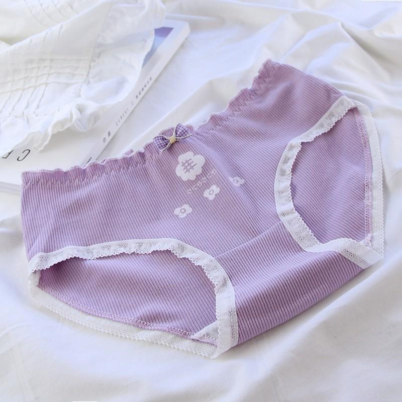 Quần Lót Cotton Co Dãn 4 Chiều Hoa 5 Cánh Tím Pastel