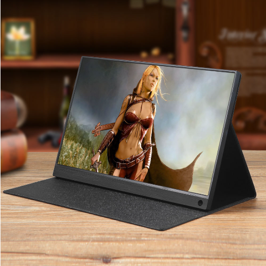 Màn hình di động 15.6inch Dual mini HDMI Dual TypeC DOLPHIN PP 1080p 60Hz HDR (tặng kèm giá đỡ)