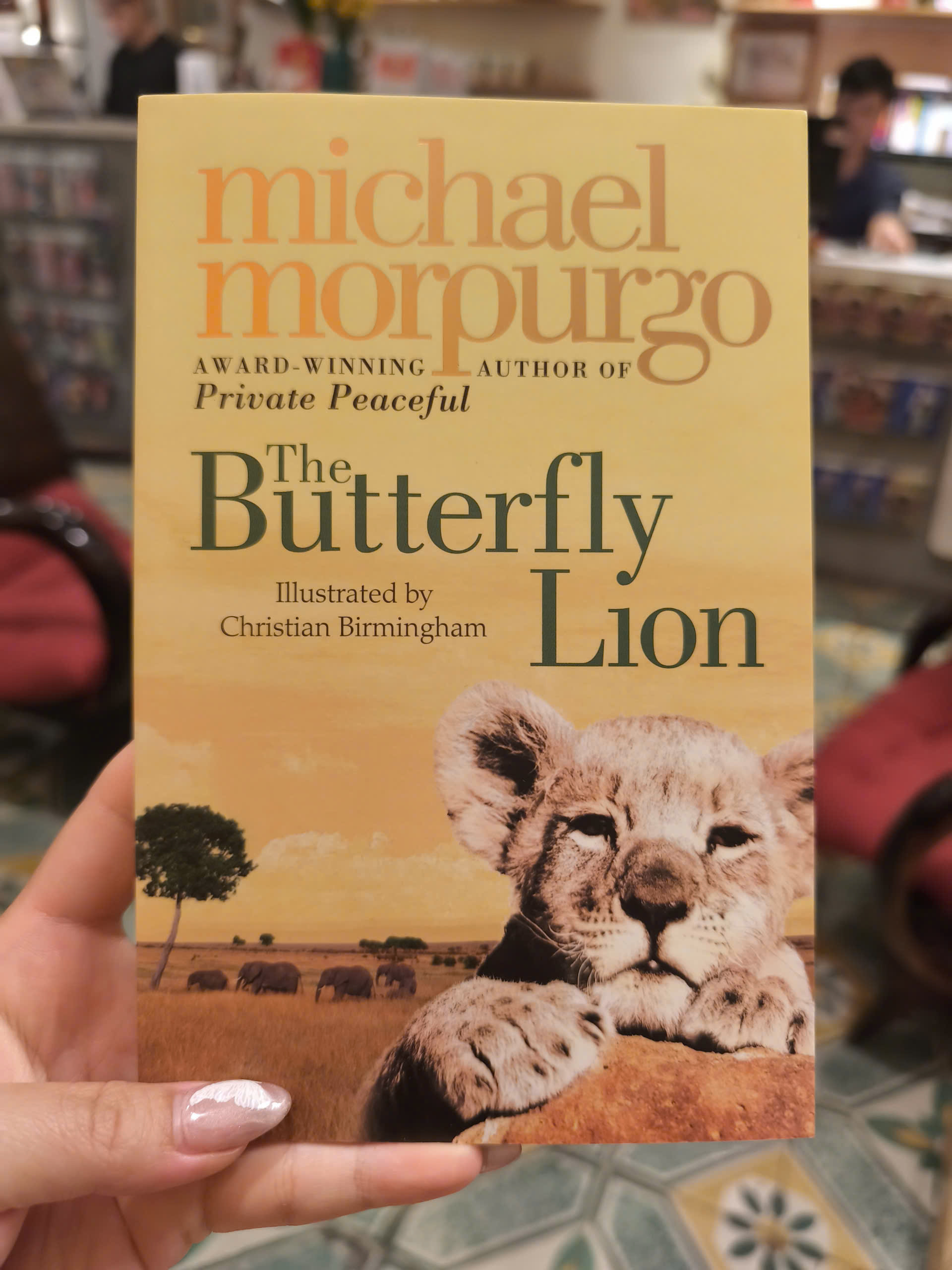 The Butterfly Lion by Michael Morpurgo - Children Story book in English - Sách Ngoại Văn Nhập Khẩu