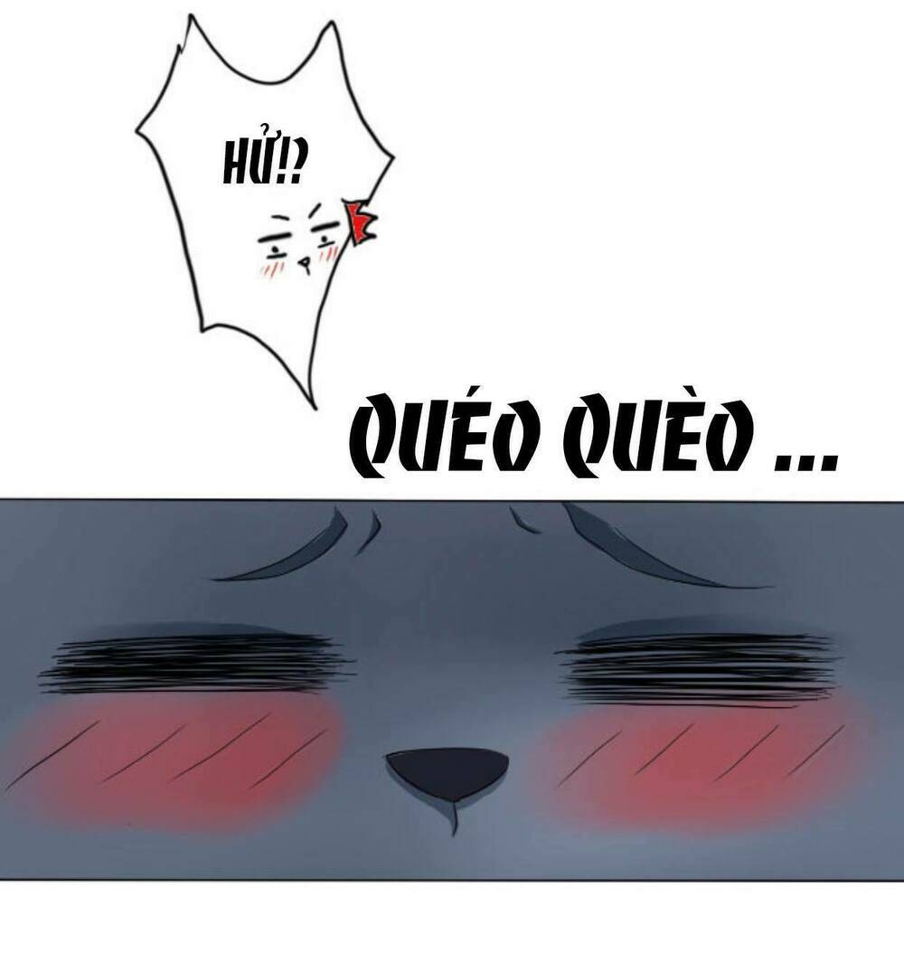 đạo sĩ cưới ta đi! chapter 1 19