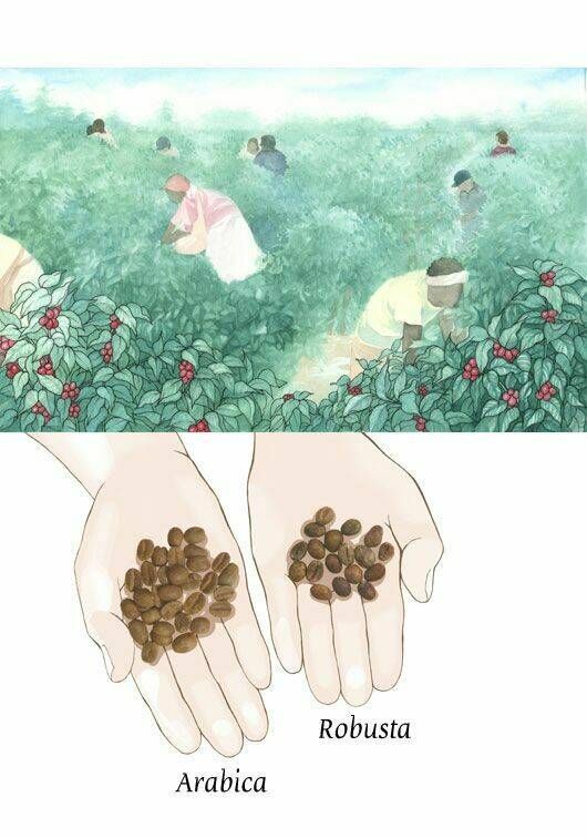 crazy coffee cat chapter 1 23