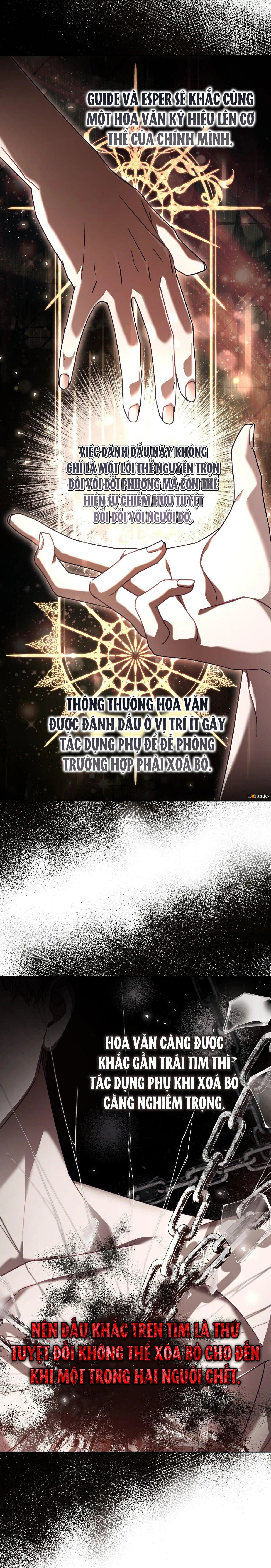 guide cấp s phết mật ong chapter 40 26