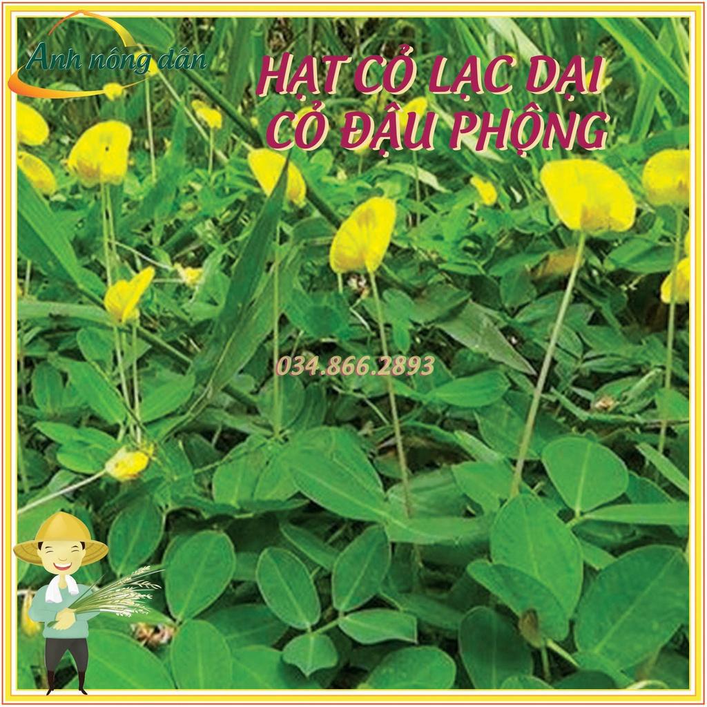 10g Hạt giống cỏ lạc dại - Hạt giống cỏ đậu phộng - Cỏ trồng công trình, sân vưởn