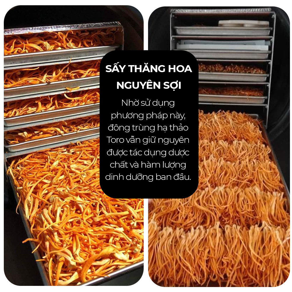 Bộ 2 Đông Trùng Hạ Thảo Toro Sấy Thăng Hoa Nguyên Sợi | 10GR/Hũ | TORO FARM